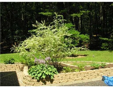 Yard/Garden. Raised beds to enjoy in your huge yar