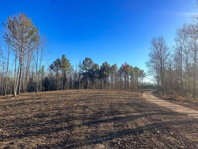 0 Firetower Rd unit 4, Centerville, TN 37033 - photo 6