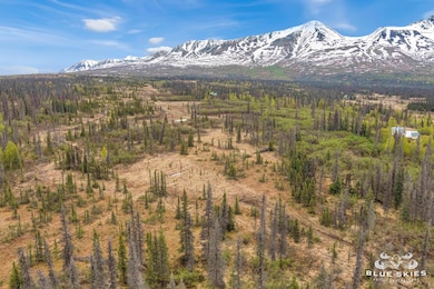 E Round Top Rd, Talkeetna, AK 99676 - photo 3