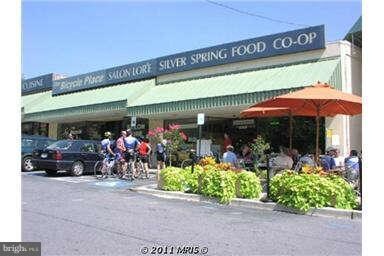 2219 Washington Ave unit 201, Silver Spring, MD 20910 - photo 2