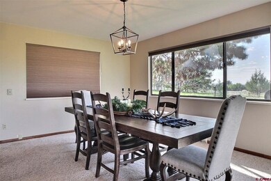 16794 Primrose Ln, Cedaredge, CO 81413 - photo 7