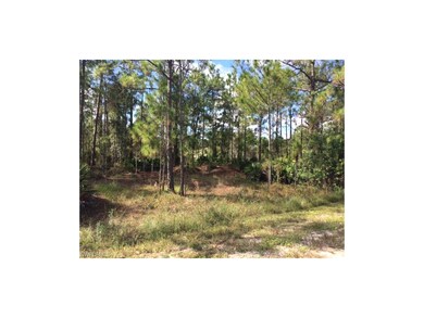 827 Oakridge Ave S, Lehigh Acres, FL 33974 - photo 2