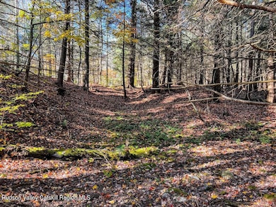 0 Route 23a unit 20254113, Hunter, NY 12442 - photo 4