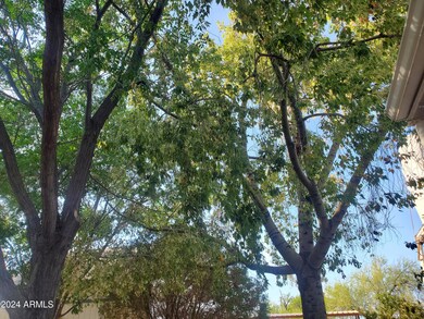 trees