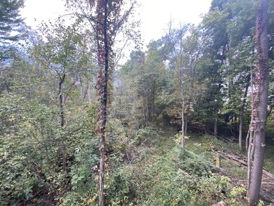 VL California Rd, Dowagiac, MI 49047 - photo 7