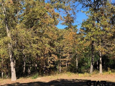 2035 Stonegate Valley Dr, Tyler, TX 75703 - photo 3