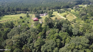 997 Morgantown Rd, Foxworth, MS 39483 - photo 7