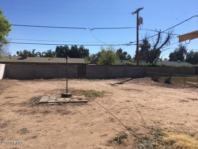 Backyard 2