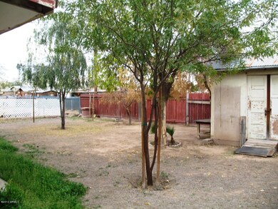 Back Yard View