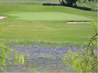 17133 Woodlawn Dr, Whitney, TX 76692 - photo 4