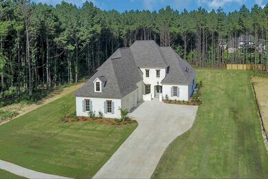 130 Wethersfield Dr, Madison, MS 39110 - photo 3