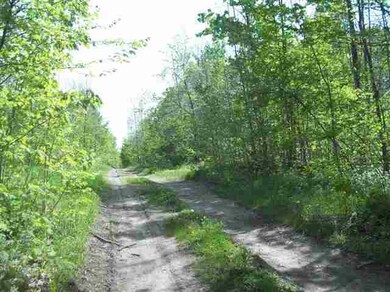 39.5 ON State Highway 52, Aniwa, WI 54408 - photo 2
