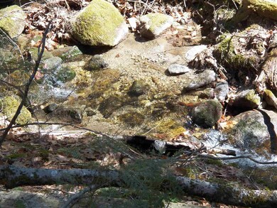 85-5-0 Cobble Hill Rd, Swanzey, NH 03446 - photo 2