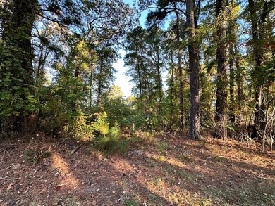 0.23 Mason Dr unit 11, Chincoteague, VA 23336 - photo 7