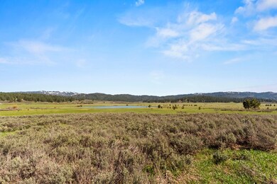 Ten Acres of Paradise