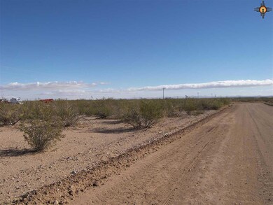 0 College Heights Bk 2 Lots 3 & 4 unit 20166075, Columbus, NM 88029 - photo 2