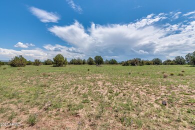 25 Indian Springs Rd unit 2, Ash Fork, AZ 86320 - photo 3