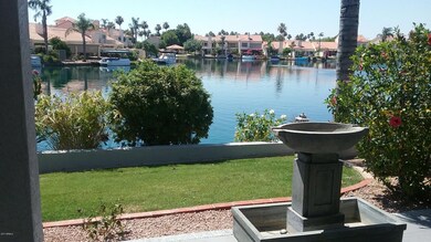 Back yard 2