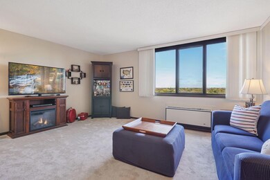 1181 Edgcumbe Rd unit 1008, Saint Paul, MN 55105 - photo 3