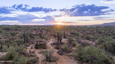coyote-creek-2020-3
