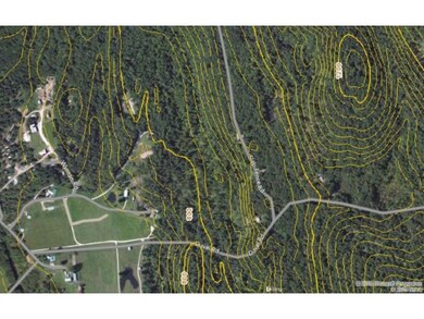 Wooded Level Land