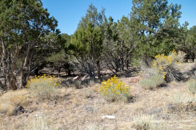 518 S Valley Heights Cir W unit 2, Parowan, UT 84761 - photo 2
