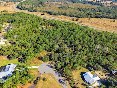 1811 County Road 243d, Wildwood, FL 34785 - photo 2