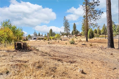 6187 Virginia Way, Paradise, CA 95969 - photo 6