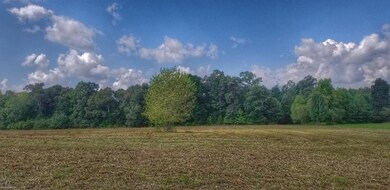 0 Fredonia Rd unit RTC1963611, Manchester, TN 37355 - photo 6