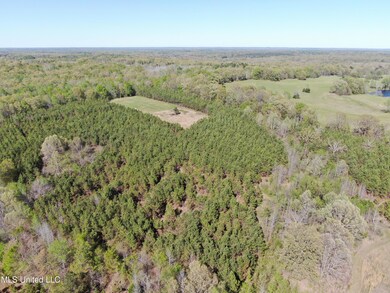 DJI_0171
