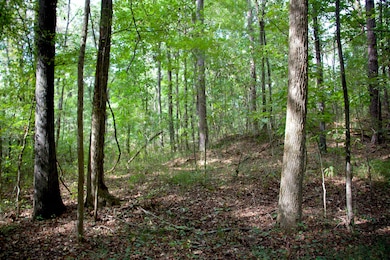 914 Park Swain Rd, Grand Junction, TN 38039 - photo 2