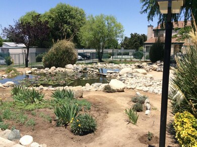 pond
