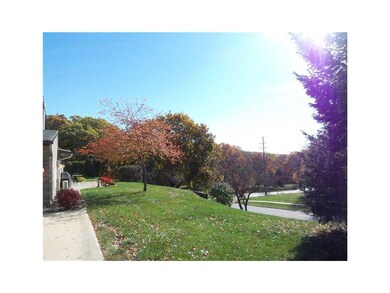 Yard.