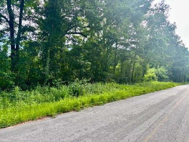 8946 Anderson Rd, Adams Run, SC 29426 - photo 7