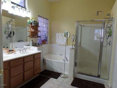 A Master Bathroom (Large)