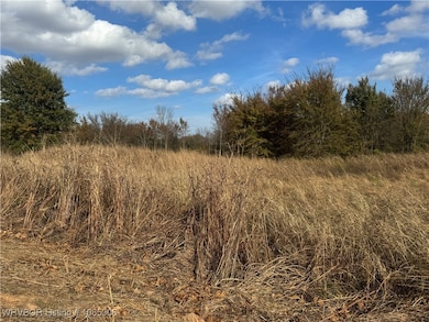 TBD Aes Rd, Spiro, OK 74959 - photo 5
