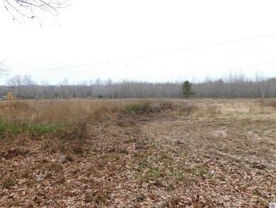 00 Lawson Johnson Rd, Benton, KY 42025 - photo 4