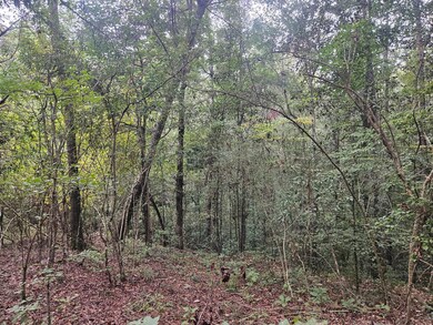 153-63 Houston Rd, Mount Olive, MS 39119 - photo 6