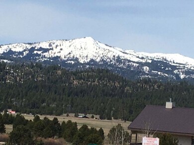 Huge Snowcapped Mountain Views