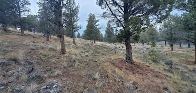 Unit 1 Lot 16 Lake Shore Dr unit 1, Weed, CA 96094 - photo 3