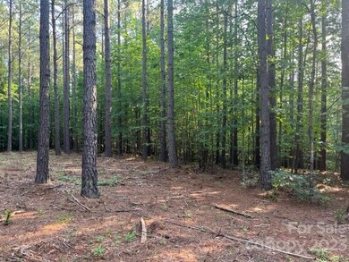 0 Manus Chapel Rd unit CAR4053894, Mill Spring, NC 28756 - photo 3