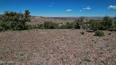 0 Co Rd 5062 Lot 1 3 53 Acres, Concho, AZ 85924 - photo 2