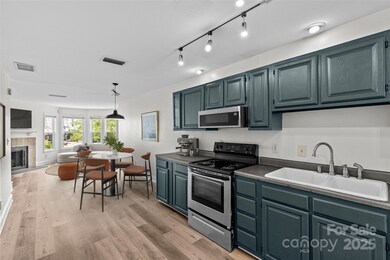 216 S Clarkson St unit F, Charlotte, NC 28202 - photo 4