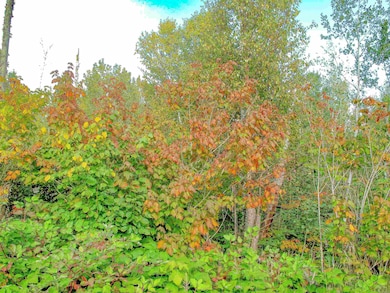 9223 Minnesota 61, Schroeder, MN 55613 - photo 5