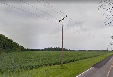 10817 Ohio 133, Blanchester, OH 45107 - photo 5