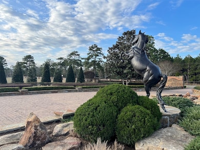 Stallion Lakes: Low tax rate, concrete streets, na