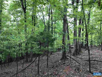 280 Foothills Dr, Nellysford, VA 22958 - photo 5