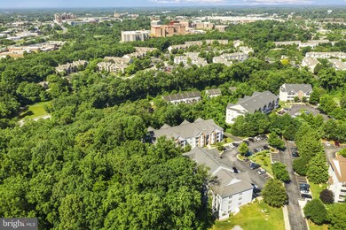 657 Burtons Cove Way unit 2, Annapolis, MD 21401 - photo 3