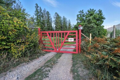 3752 Vineyard Way, Kettle Falls, WA 99141 - photo 4