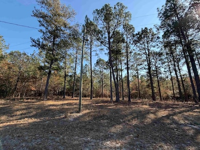 1031 Oakland Dr, Camden, SC 29020 - photo 4